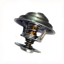 Termostat 4936026